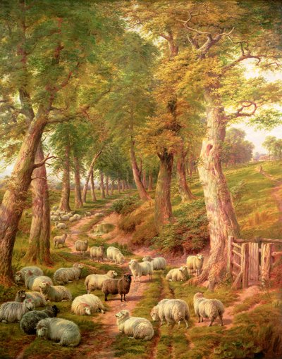 Landscape with Sheep by Charles Jones